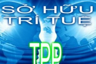 Sở hữu trí tuệ trong TPP và những tác động lớn tới Doanh nghiệp Việt Nam