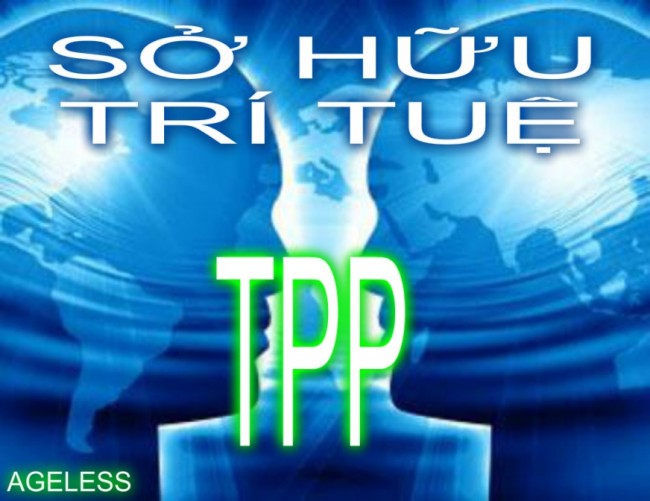 SHTT trong TPP