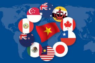 Need-to-know issues about Trademark protection and Patent protection in Vietnam under the Comprehensive and Progressive Agreement for Trans-Pacific Partnership (CPTPP)