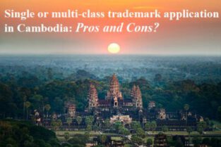 Filing single or multi-class trademark application in Cambodia, Pros and Cons?