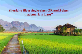 Filing single-class or multi-class trademark application in Laos, Pros and Cons?