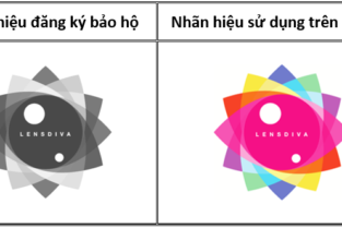 Kinh nghiệm lựa chọn đăng ký nhãn hiệu đen trắng hay nhãn hiệu màu