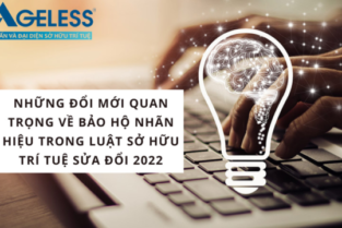 10 ĐIỂM MỚI VỀ BẢO HỘ NHÃN HIỆU THEO LUẬT SỞ HỮU TRÍ TUỆ SỬA ĐỔI 2022