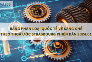 ÁP DỤNG BẢNG PHÂN LOẠI QUỐC TẾ VỀ SÁNG CHẾ THEO THOẢ ƯỚC STRASBOURG PHIÊN BẢN 2024.01