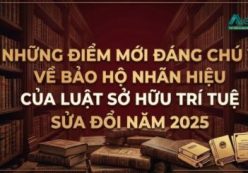 NHỮNG ĐIỂM MỚI ĐÁNG CHÚ Ý VỀ BẢO HỘ NHÃN HIỆU THEO  LUẬT SỞ HỮU TRÍ TUỆ SỬA ĐỔI NĂM 2025