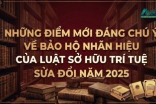 NHỮNG ĐIỂM MỚI ĐÁNG CHÚ Ý VỀ BẢO HỘ NHÃN HIỆU THEO  LUẬT SỞ HỮU TRÍ TUỆ SỬA ĐỔI NĂM 2025