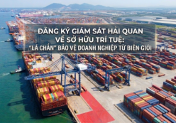 ĐĂNG KÝ GIÁM SÁT HẢI QUAN VỀ SỞ HỮU TRÍ TUỆ: “LÁ CHẮN” BẢO VỆ DOANH NGHIỆP TỪ BIÊN GIỚI